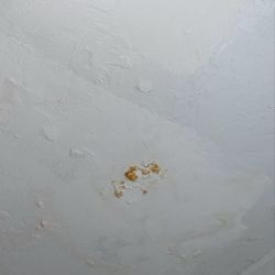 Bloomsburg University - Large mold