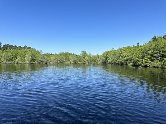 Laura S. Walker State Park by null