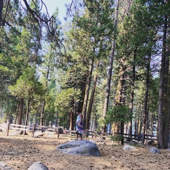 Pinecrest Lake - Daughter exploring the rocks - Lakes Near Me - Pinecrest, California