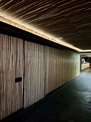 Green Lady Cocktail Room by null