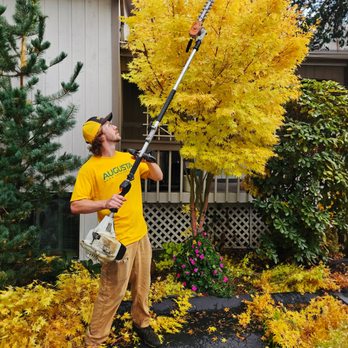 Augusta Lawn Care - Lawn Services Near Me Augusta Lawn Care - Lawn Services Near Me