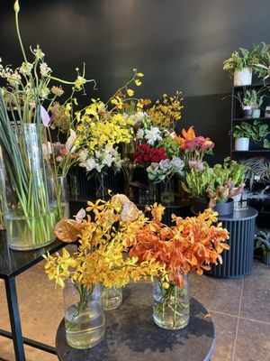 Gilly Flowers by null