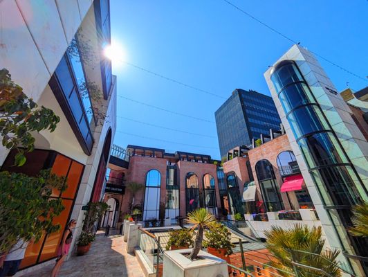 The Rodeo Collection by null