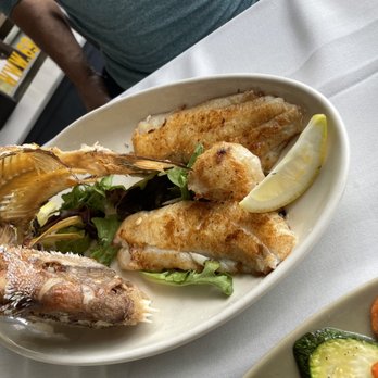 Fifi's Seafood Restaurant - Snapper catch of the day - Seafood Near Me - Miami Beach, Florida Fifi's Seafood Restaurant - Snapper catch of the day - Seafood Near Me - Miami Beach, Florida
