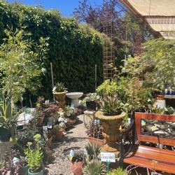 Woodend Nursery - Beautiful pathways abundant with colour