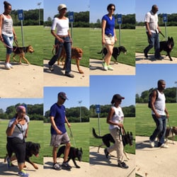 Atlanta K9 Solutions - Basic Obedience, Sign up Today!