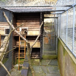Wildpark Mühletäli