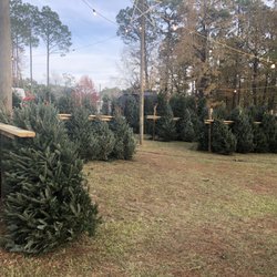 St Paul's Episcopal Church - The best prices in town and the trees are fresh!