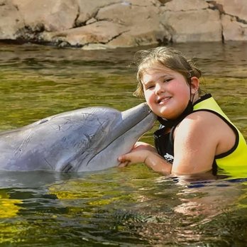 Discovery Cove - Loving dolphins - Amusement Parks Near Me - Orlando, Florida