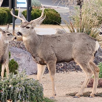 Touchmark at The Ranch - Retirement Homes Near Me - Prescott, Arizona Touchmark at The Ranch - Retirement Homes Near Me - Prescott, Arizona