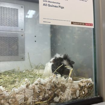 Petco - Pet Training Near Me - Selden, New York