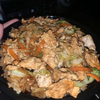 Cup Works - Chicken Hibachi Cup. Exactly how it comes no modification - Japanese Near Me - Valdosta, Georgia