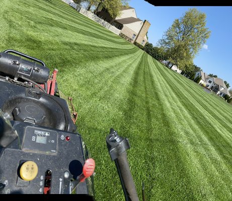 Expert Landscape & Lawncare - We offer a wide range of landscaping services, including lawn mowing, tree trimming, sod installation, pruning, mulching, spring/fall cleanups, flower bed maintenance, leaf removal, stone installation and garden design. Our experts will work with you to create a custom plan that meets your specific needs. Expert Landscape & Lawncare - We offer a wide range of landscaping services, including lawn mowing, tree trimming, sod installation, pruning, mulching, spring/fall cleanups, flower bed maintenance, leaf removal, stone installation and garden design. Our experts will work with you to create a custom plan that meets your specific needs.