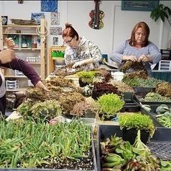 Left Coast Art Studio - Succulent Wreath Workshop - Art Classes Near Me - Baywood-Los Osos, California Left Coast Art Studio - Succulent Wreath Workshop - Art Classes Near Me - Baywood-Los Osos, California