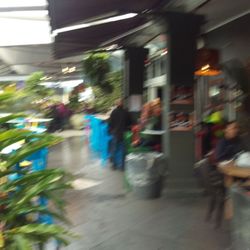 The Paddington Tavern - Beer Garden