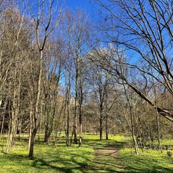 Taylor Memorial Arboretum - Taylor Arboretum -- April 2023