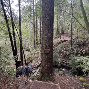Monte Rio Redwoods Trailhead - Hiking Near Me - Monte Rio, California Monte Rio Redwoods Trailhead - Hiking Near Me - Monte Rio, California