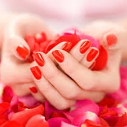 Silk Cotton Spa
