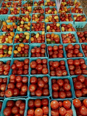 Grand Army Plaza Greenmarket by null