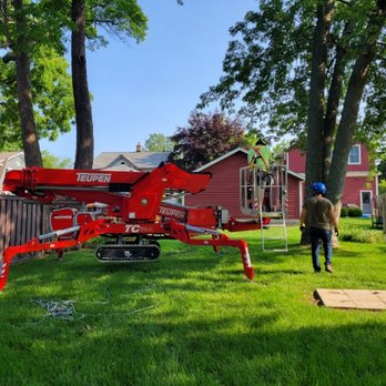 Mark's Professional Tree Service - Tree Services Near Me - Comstock Park, Michigan