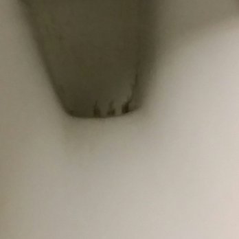 Sleep Inn & Suites - Worst toilet bowl.. unhygienic...poor cleaning.. - Hotels Near Me - Milan, Michigan Sleep Inn & Suites - Worst toilet bowl.. unhygienic...poor cleaning.. - Hotels Near Me - Milan, Michigan