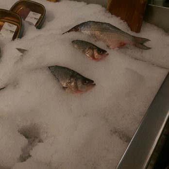 Wegmans - Great fresh fish - Grocery Near Me - Mechanicsburg, Pennsylvania Wegmans - Great fresh fish - Grocery Near Me - Mechanicsburg, Pennsylvania