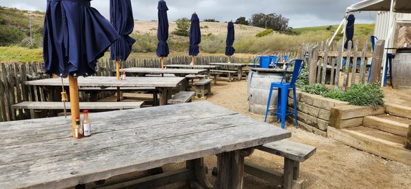 Hog Island Oyster Farm by null