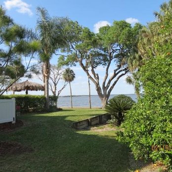 1. Windsor & Son Tree Care Services