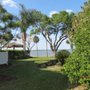 Windsor & Son Tree Care Services