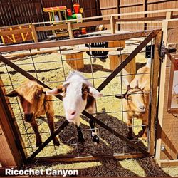 Ricochet Canyon