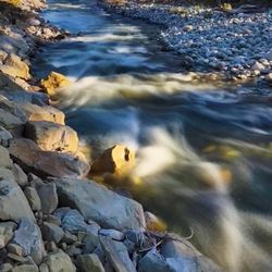 Spring Creek Campground and Trout Ranch