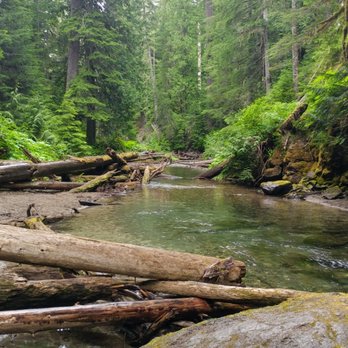 Gifford Pinchot National Forest - Rivers - Hiking Near Me
