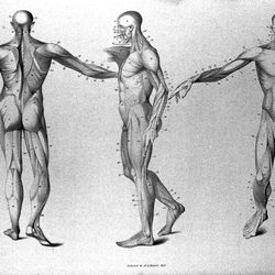 Karma Chiropractic - Experiencing chronic neck and back pain that limits your enjoyment of life? Dr. Mike can help!