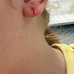 Piercing Pagoda