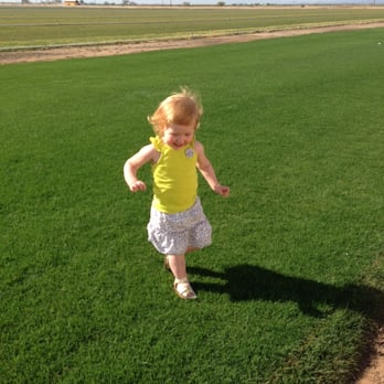 West Coast Turf - a little girl running across a field - Landscaping Near Me - Scottsdale, Arizona West Coast Turf - a little girl running across a field - Landscaping Near Me - Scottsdale, Arizona