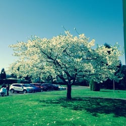 Sabin Schellenberg Center