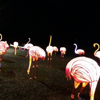 Sunset Cove Amphitheater - flamingos lit up at night - Music Venues Near Me - Boca Raton, Florida Sunset Cove Amphitheater - flamingos lit up at night - Music Venues Near Me - Boca Raton, Florida