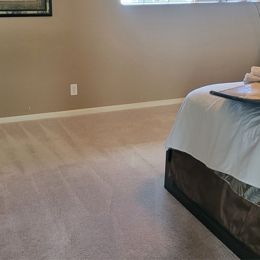 Kiwi Carpet Cleaning - Carpet Cleaning Near Me - Honolulu, Hawaii Kiwi Carpet Cleaning - Carpet Cleaning Near Me - Honolulu, Hawaii