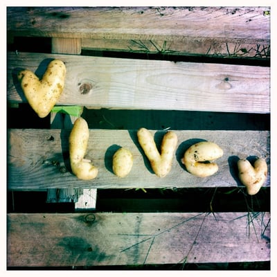 Blue Moon Acres Buckingham, PA by null