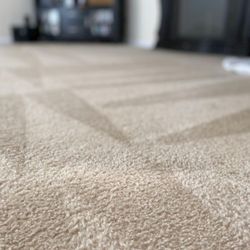North Point Carpet Cleaning - After photo