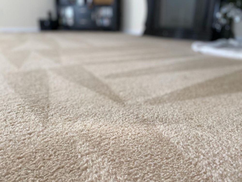 NORTH POINT CARPET CLEANING Updated August 2024 Hinesville,