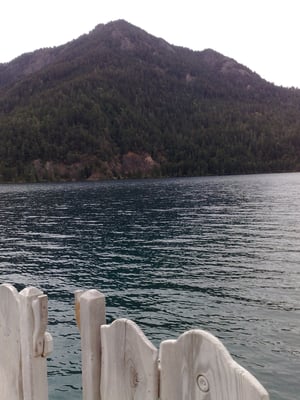 Lake Crescent Lodge by null