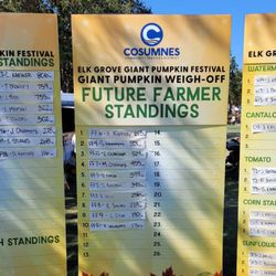 Elk Grove Giant Pumpkin Festival - Future Farmer standing