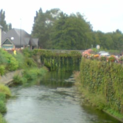 Pont