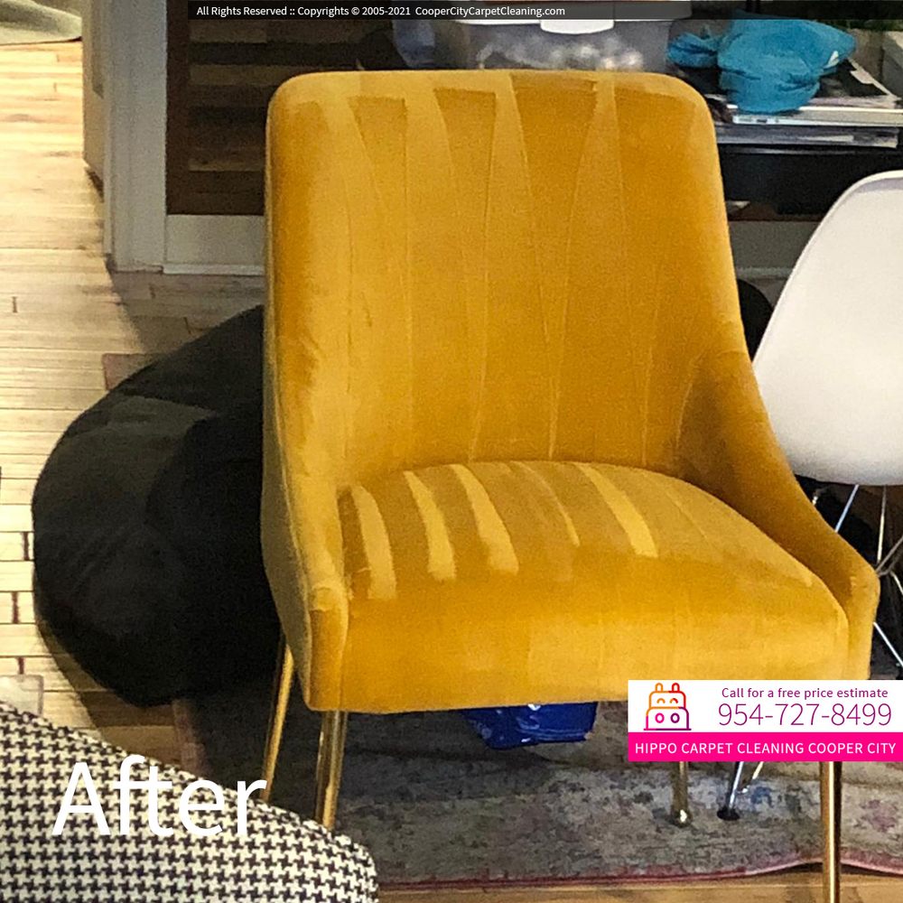 Hippo Carpet Cleaning - mold inspector in Cooper City, FL