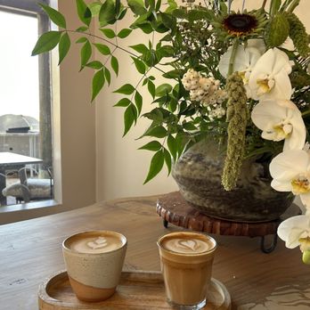 Cloud9 Coffee - Latte and flat white - Coffee & Tea Near Me - Palo Alto, California