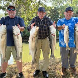 Championship Sportfishing Outfitters - Father showed the sons how to do it