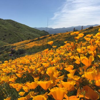 Walker Canyon Ecological Reserve - Wildlife Hunting Ranges Near Me