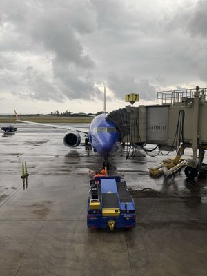 Lihue Airport by null