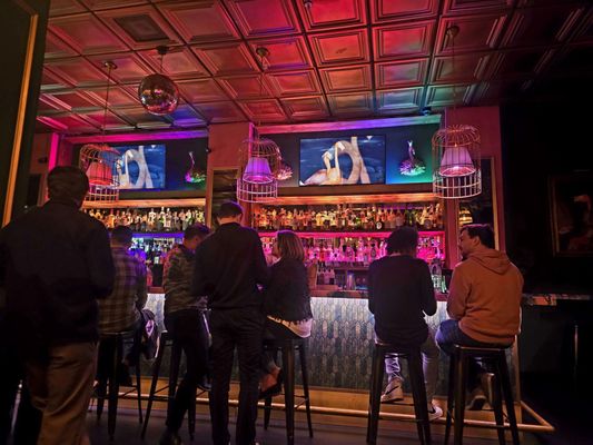 Tipsy Flamingo Cocktail Bar by null